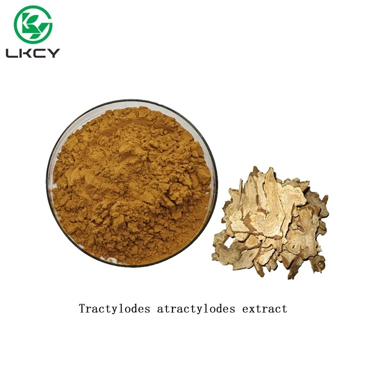 Tractylodes Atractylodes Extract